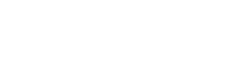Arcjet Logo